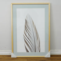 28×40–Inch Feather Framed Print – Matte Paper, Light Wood Frame