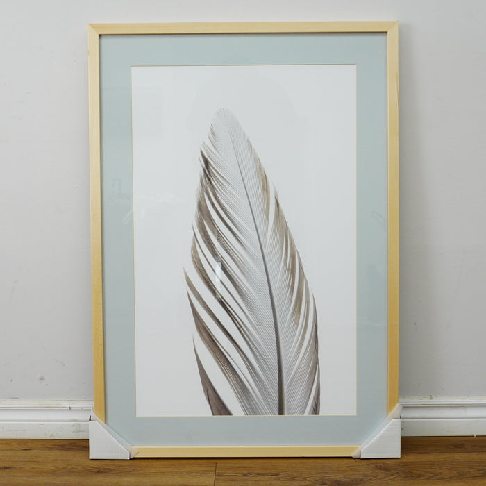 28×40–Inch Feather Framed Print – Matte Paper, Light Wood Frame
