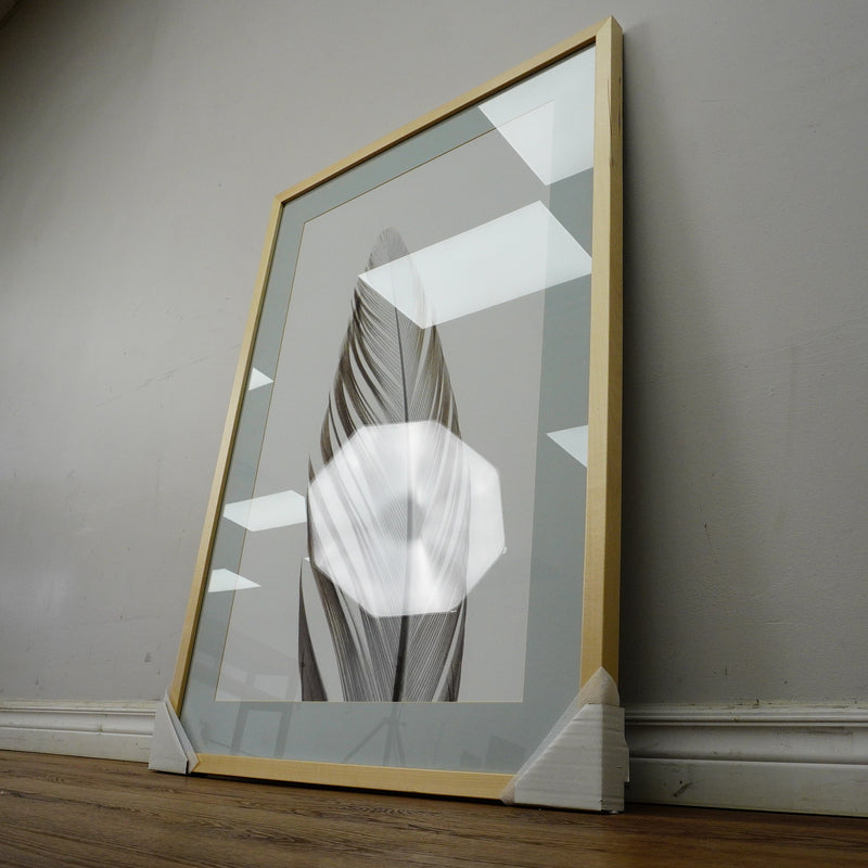 28×40–Inch Feather Framed Print – Matte Paper, Light Wood Frame