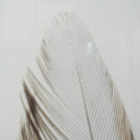 28×40–Inch Feather Framed Print – Matte Paper, Light Wood Frame