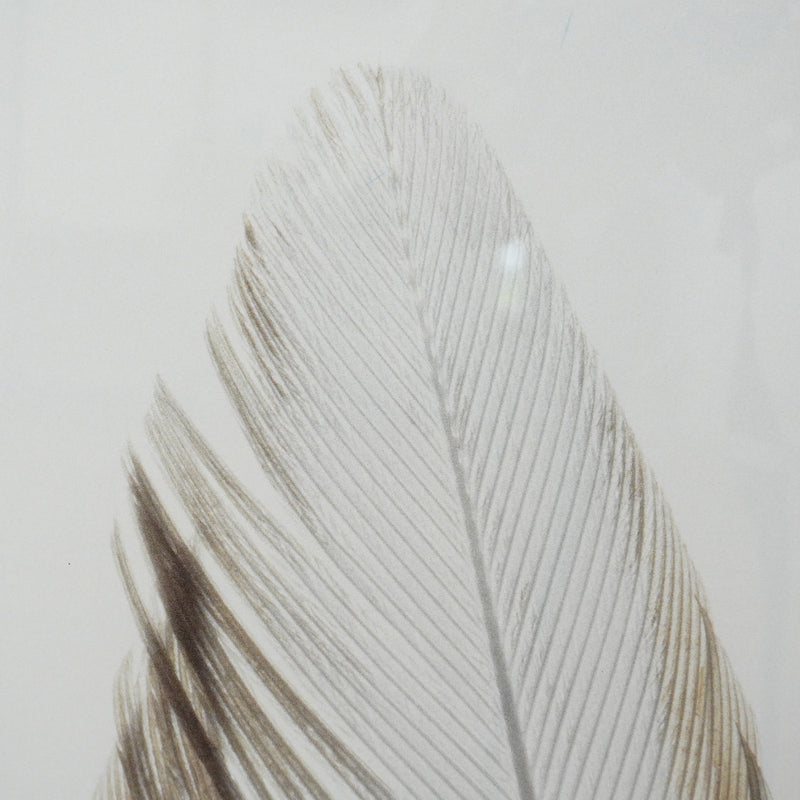 28×40–Inch Feather Framed Print – Matte Paper, Light Wood Frame