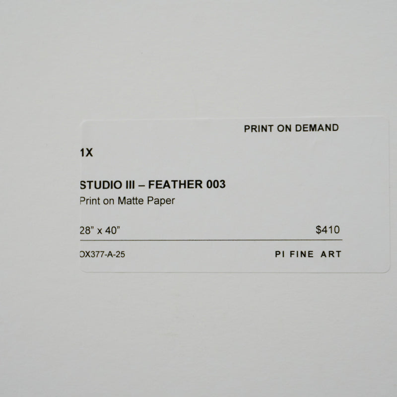 28×40–Inch Feather Framed Print – Matte Paper, Light Wood Frame