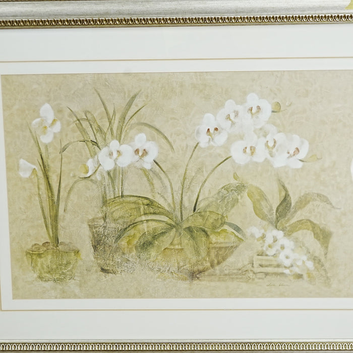41×1×31‑Inch Framed Artwork – Botanical Illustration of White Orchids