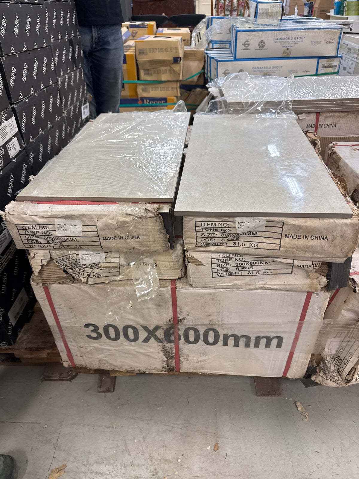 Ivory Glossy Tile 300x600 mm