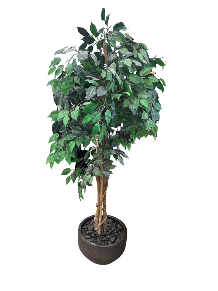 Artificial Ficus Tree with Round Base