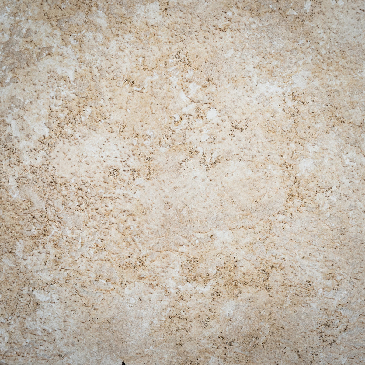 13" X 13" Piet Ger Beige Porcelain Tile - 13 per box (15.23 sq. ft.)