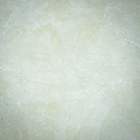 20" x 20" Medal Beige Porcelain Tile - 6 per box (16.50 sq. ft.)