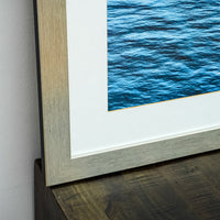 41 in x 24 in Framed Photo Of The CN Tower City View