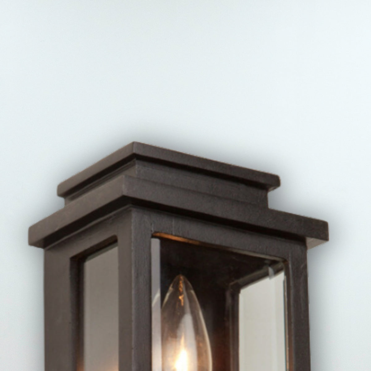 Freemont 1-Light Outdoor Wall Light in Bronze