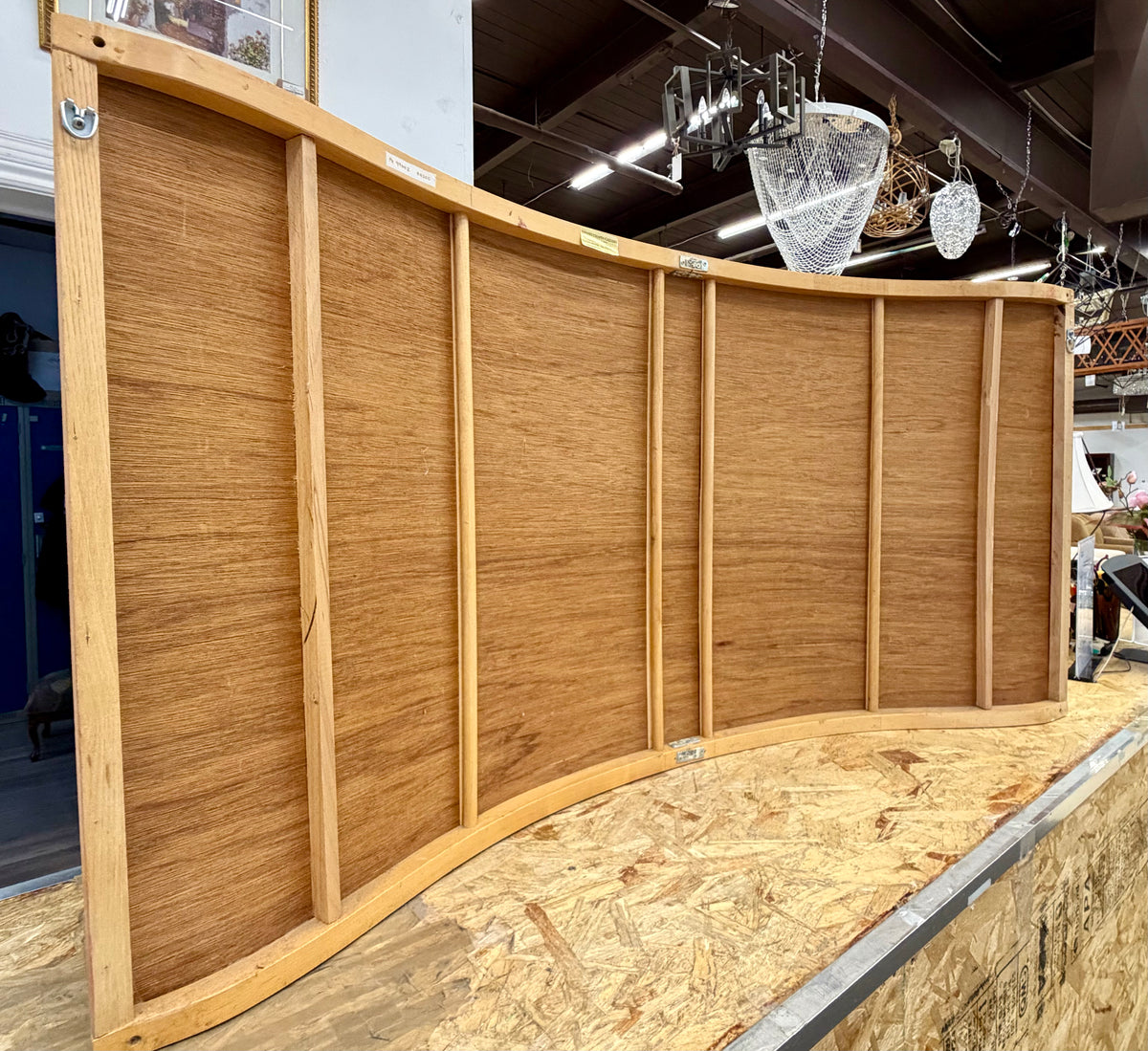 Rez Raven "Man's First Attempt at Creation"