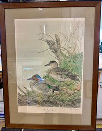 Green Wing Teal Framed and Double Matted Print by Kenneth Ferris