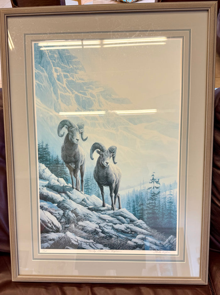 "Rocky Mountain  Big Horn Goat" Framed Limited Edition Print