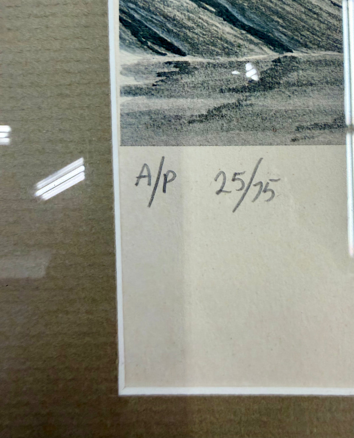 Green Wing Teal Framed and Double Matted Print by Kenneth Ferris