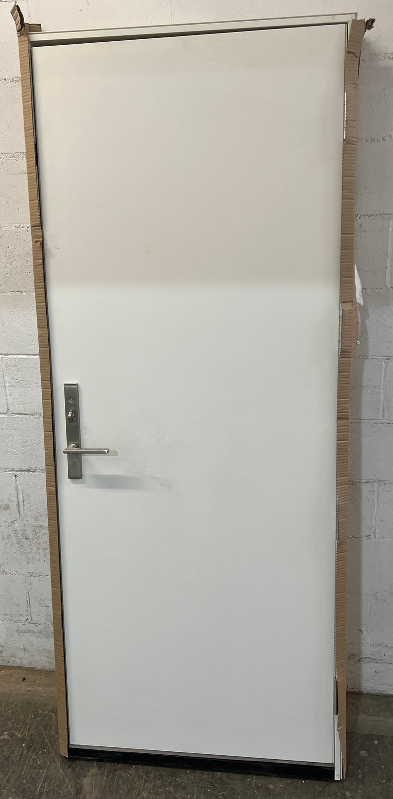 4500 entr door White