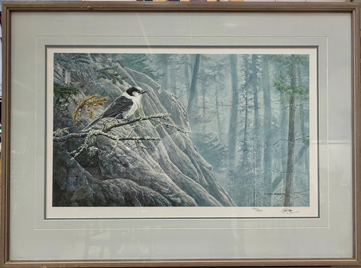 "Northwoods - Whiskey Jack" Limited Edition Framed Print by Canadian Artist Marc Barrie