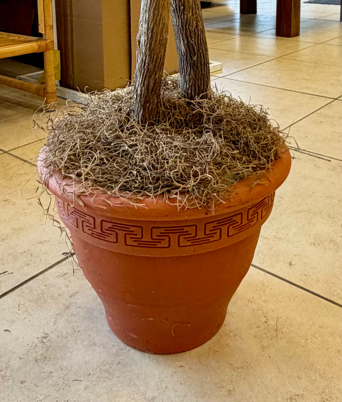 Lush Grand Artificial Ficus Tree in Greek Key Terracotta-Look Pot