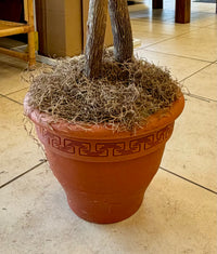 Lush Grand Artificial Ficus Tree in Greek Key Terracotta-Look Pot