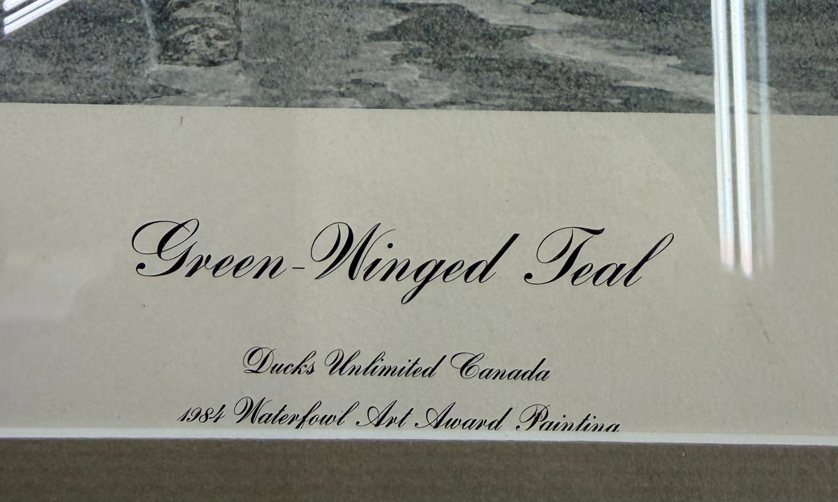 Green Wing Teal Framed and Double Matted Print by Kenneth Ferris