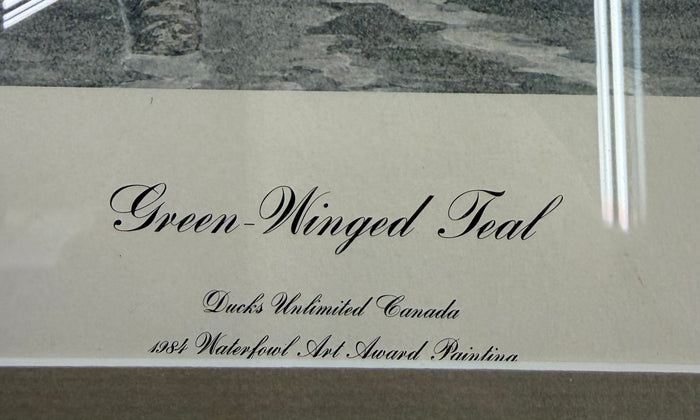 Green Wing Teal Framed and Double Matted Print by Kenneth Ferris