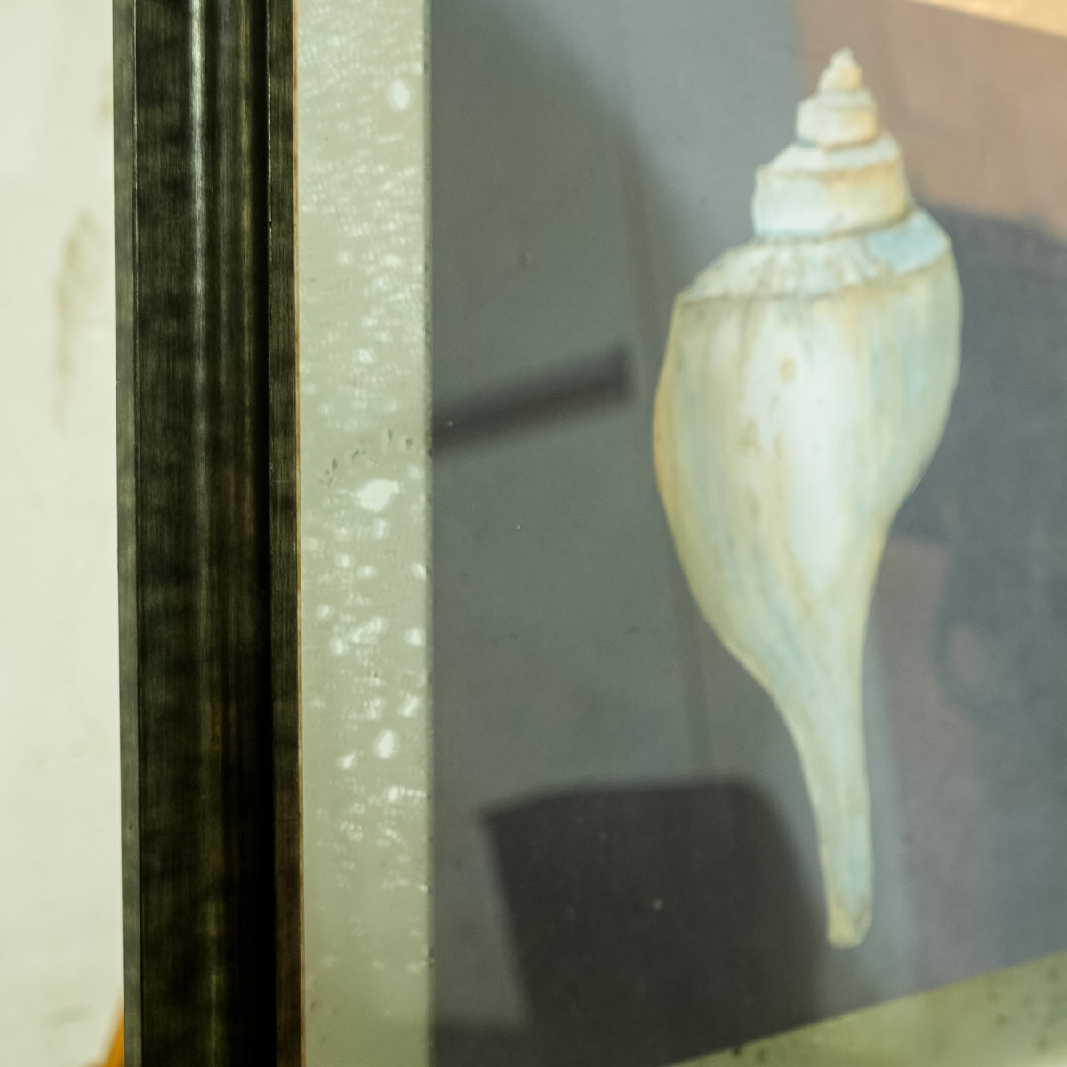 Framed Seashell Artwork – 23x23-Inch