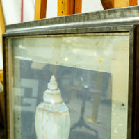 Framed Seashell Artwork – 23x23-Inch