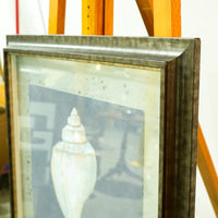Framed Seashell Artwork – 23x23-Inch