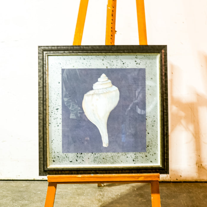 Framed Seashell Artwork – 23x23-Inch