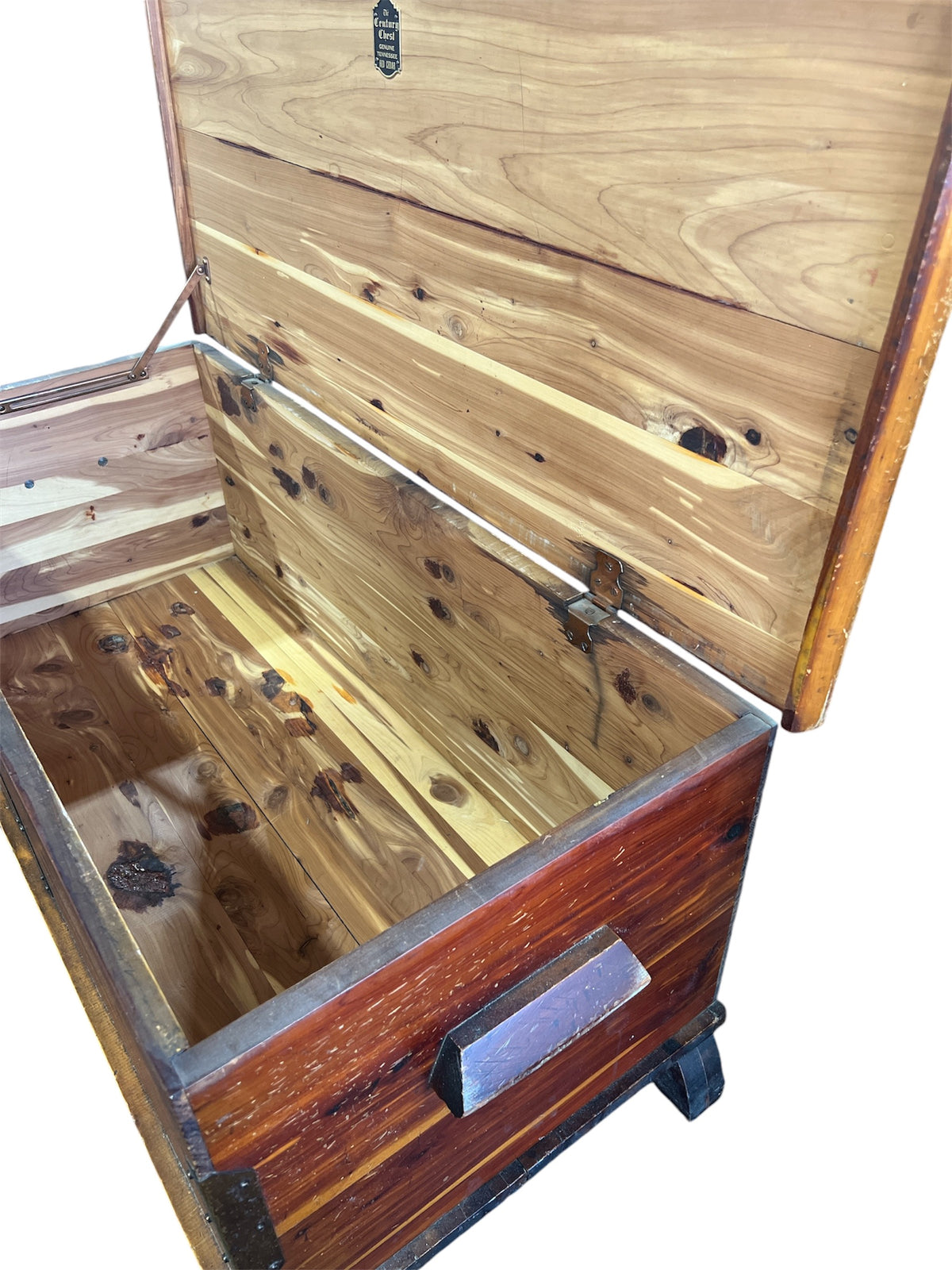 Cedar Line Trunk