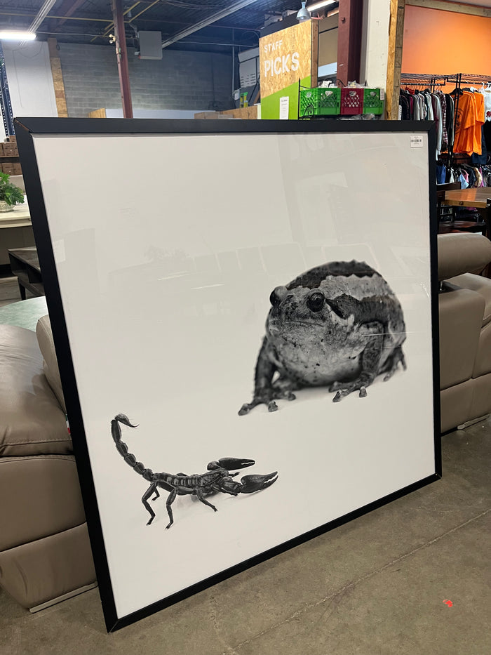 Toad vs Scorpion 50.5"x 50.5" Artwork