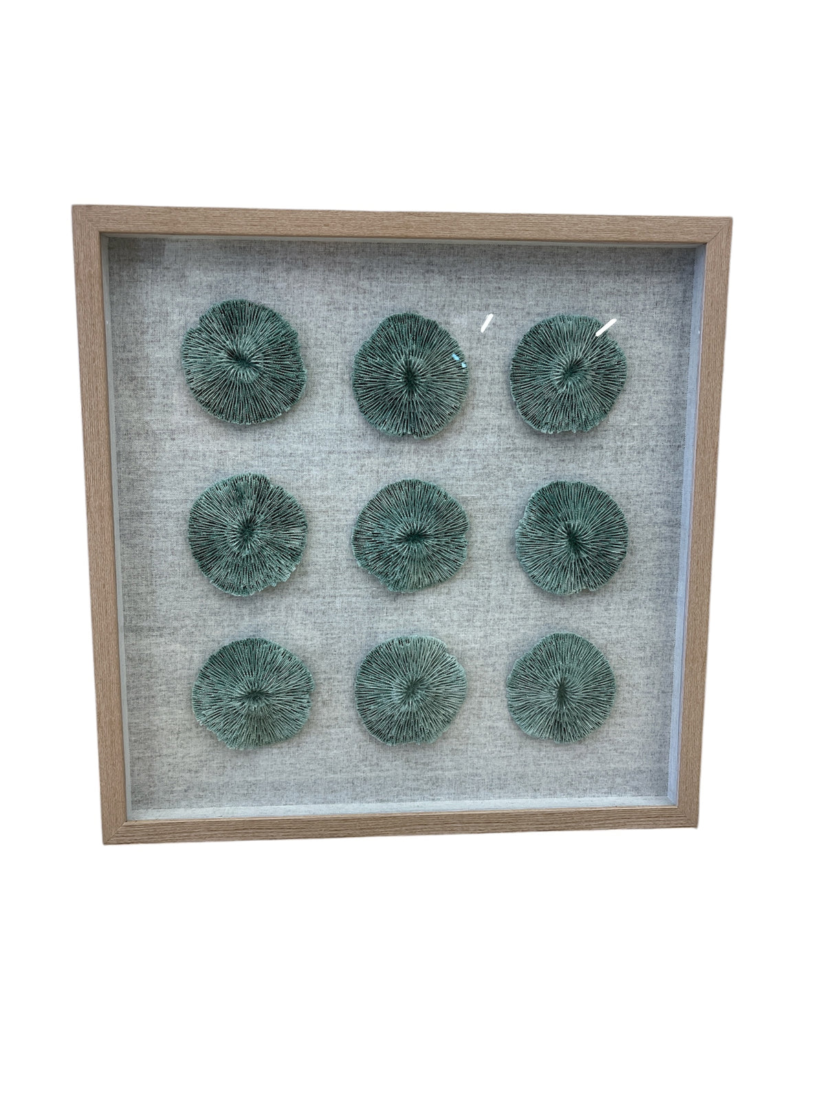 Shadow Box 3D Coral Artwork with Wood Frame