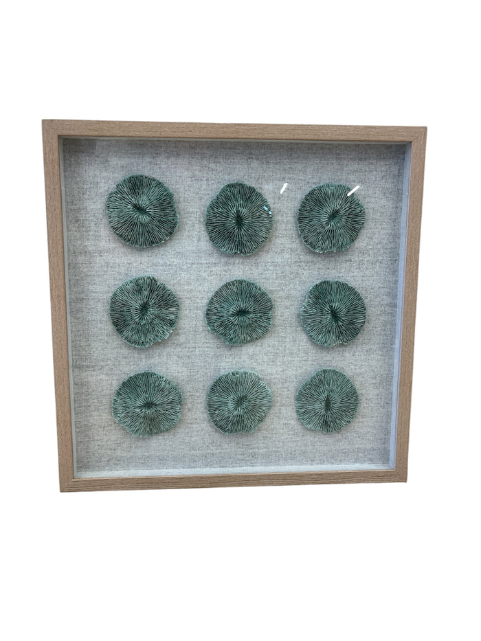 Shadow Box 3D Coral Artwork with Wood Frame