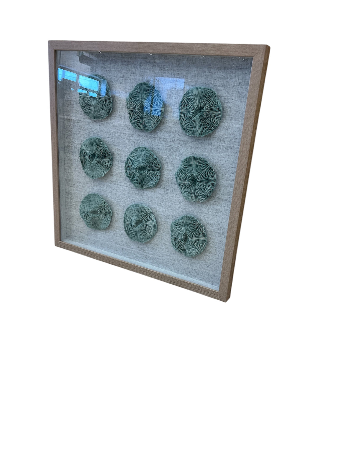 Shadow Box 3D Coral Artwork with Wood Frame