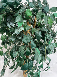 Evergreen Elegance - Faux Tree In Planter