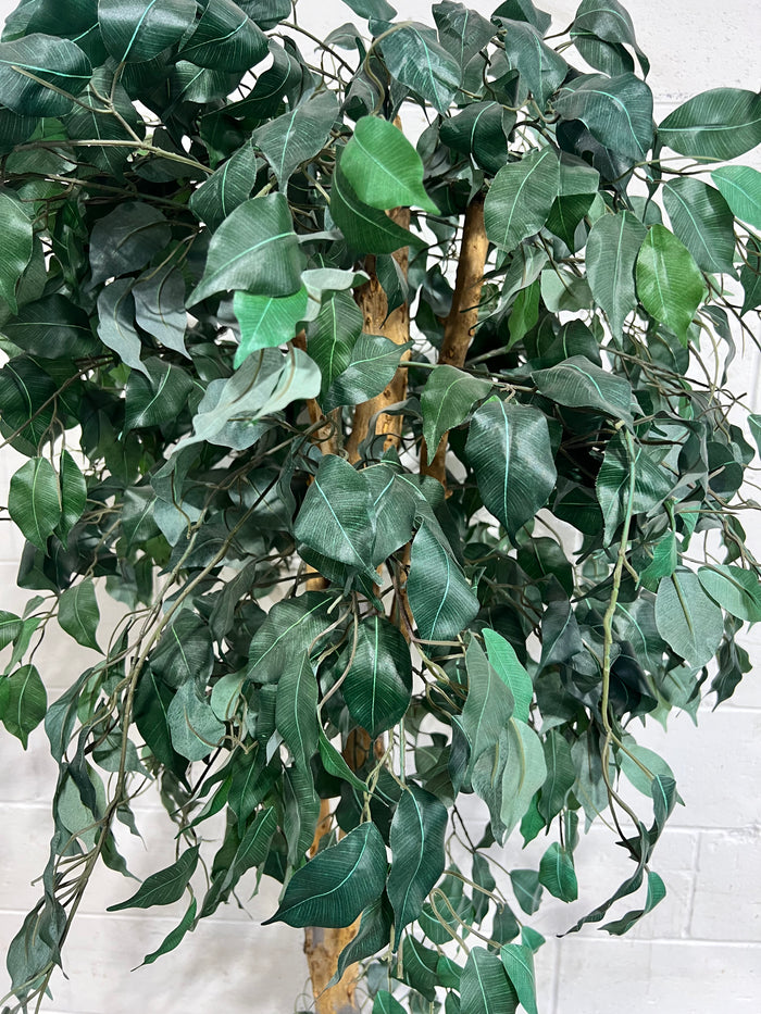 Evergreen Elegance - Faux Tree In Planter