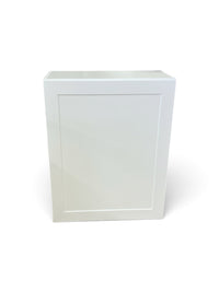 Hampton Bay Edson 24 in. W Assembled Wall Cabinet  in White