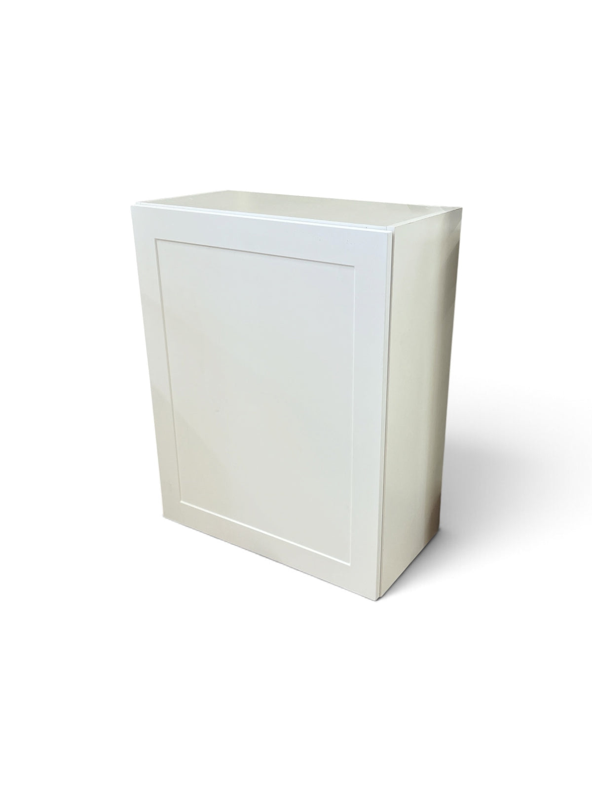 Hampton Bay Edson 24 in. W Assembled Wall Cabinet  in White