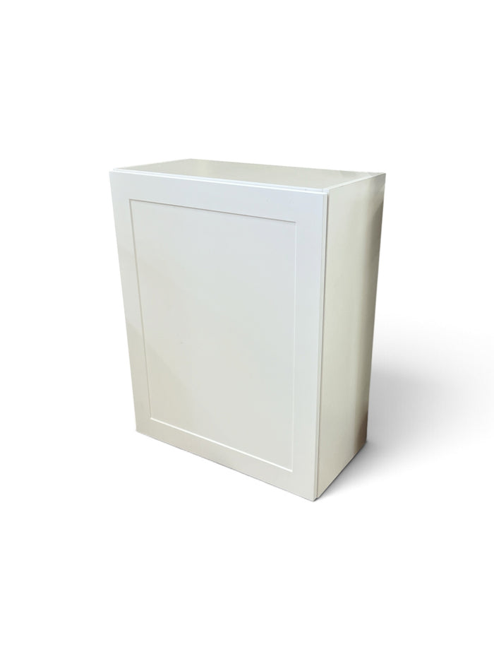 Hampton Bay Edson 24 in. W Assembled Wall Cabinet  in White