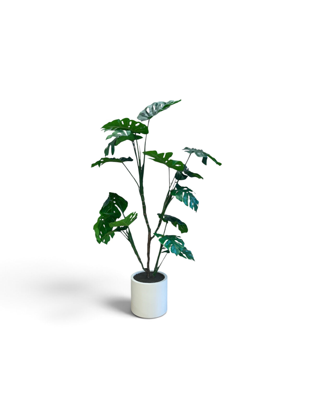 6 Ft Artificial Monstera Floor Plant in a White Planter