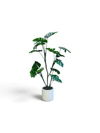 6 Ft Artificial Monstera Floor Plant in a White Planter