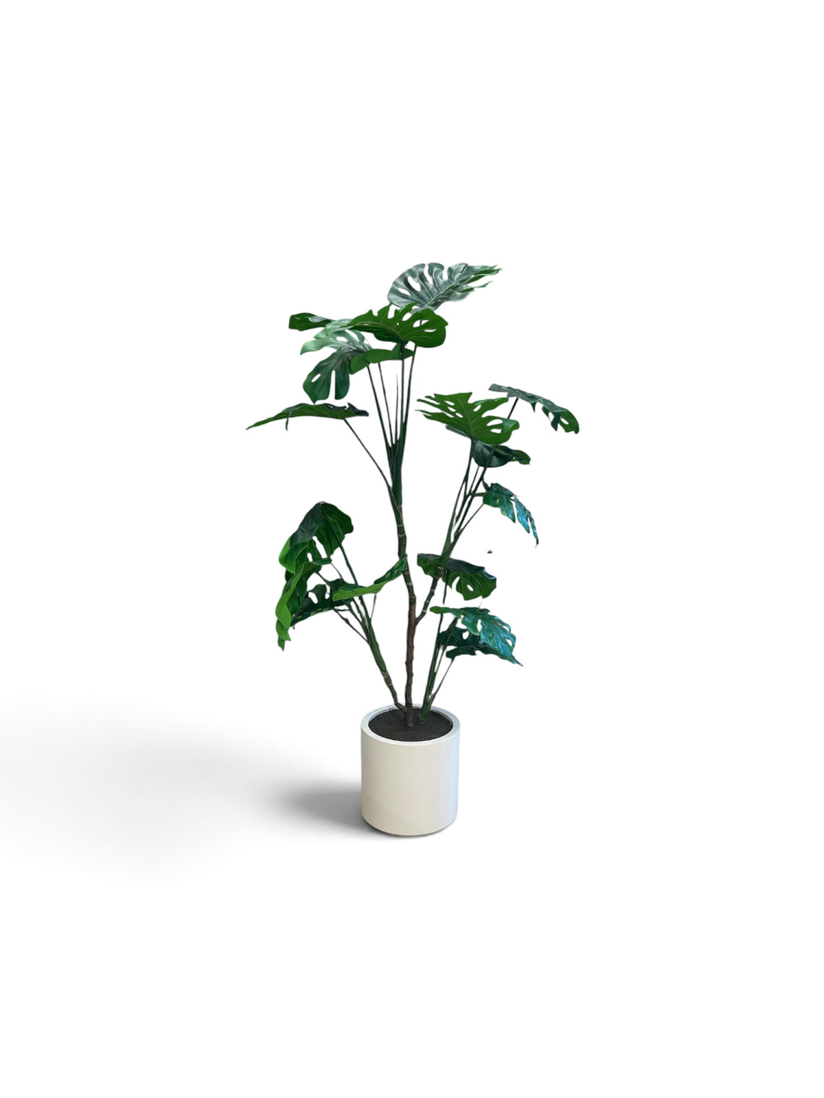 6 Ft Artificial Monstera Floor Plant in a White Planter