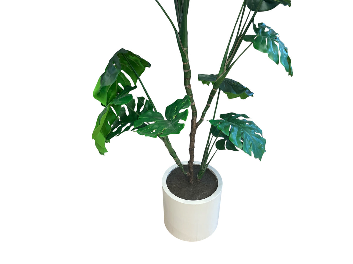 6 Ft Artificial Monstera Floor Plant in a White Planter