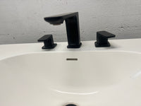 Modern Black Vanity with White Sink