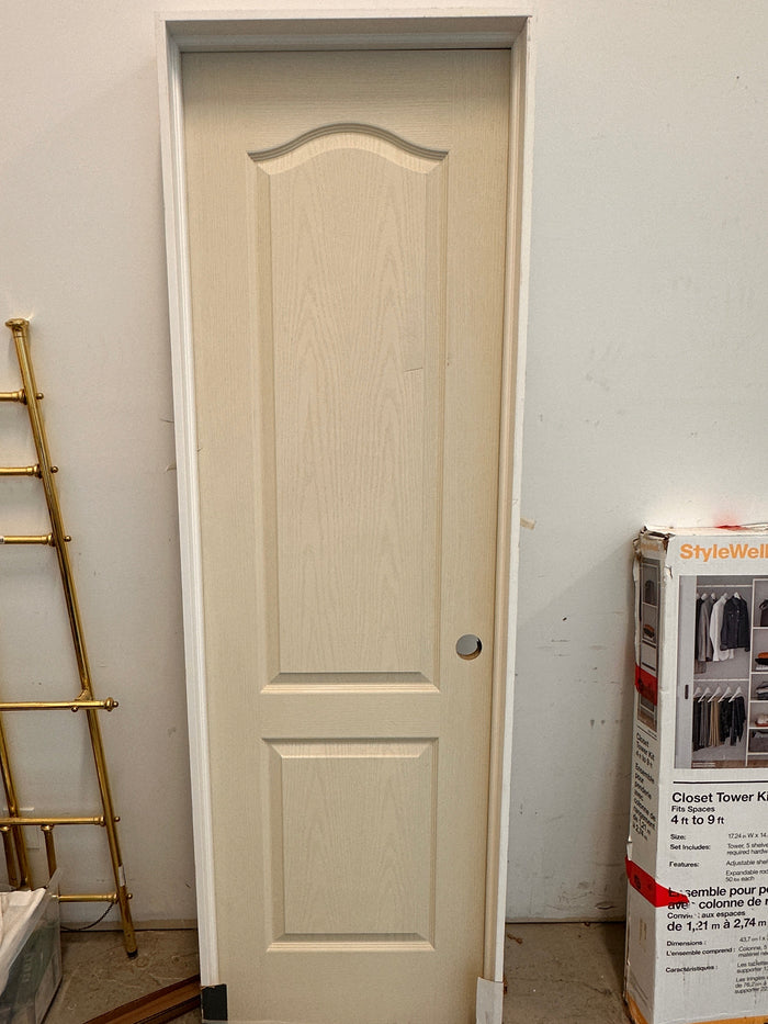 Hollow core door w/ insert
