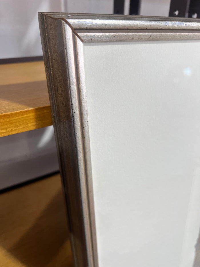 Stowe Gardens Framed Artwork