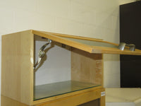 28"W Kitchen Cabinet