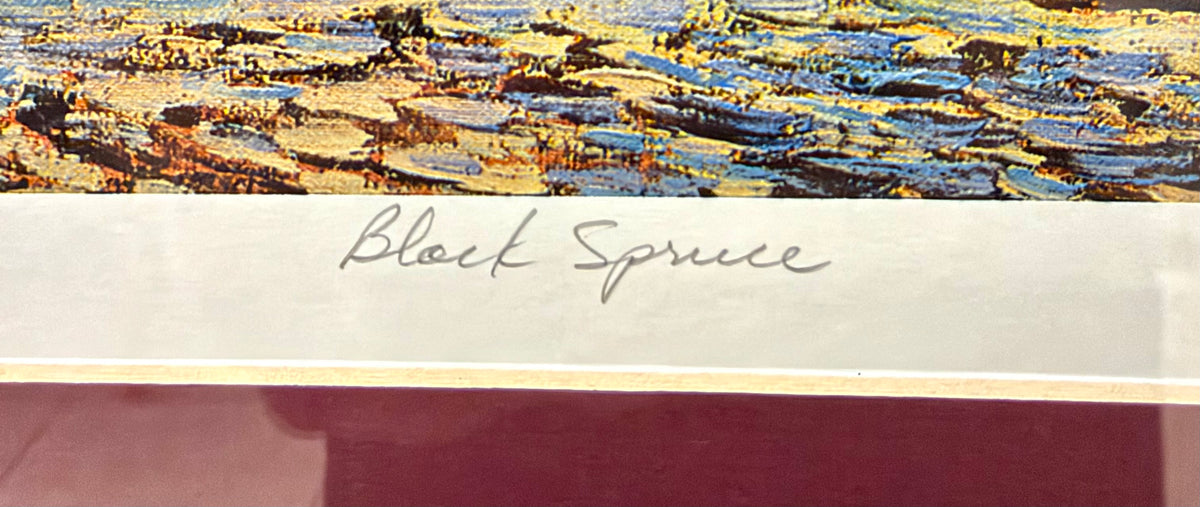 Framed Tom Thomson Limited Edition Print – Black Spruce (Pencil Numbered 24/995)