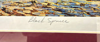Framed Tom Thomson Limited Edition Print – Black Spruce (Pencil Numbered 24/995)