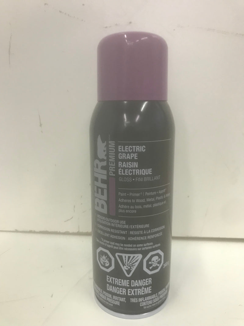 Behr Electric Grape Spray Paint And Primer