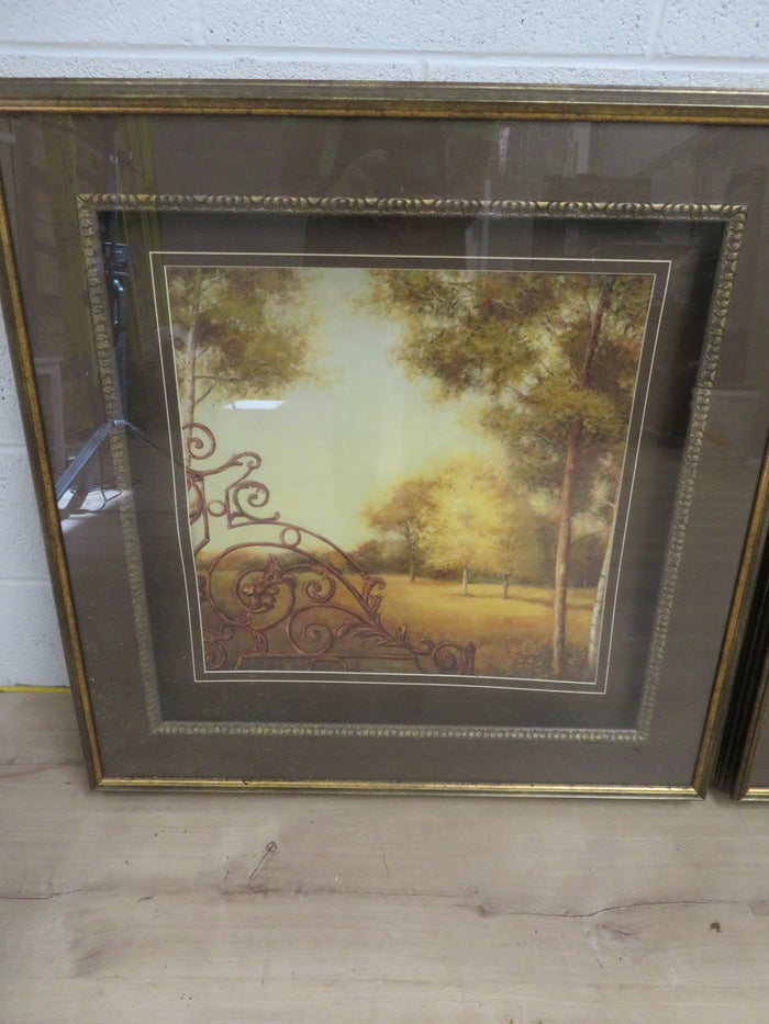 Pair of Framed Prints - "Alder Grove" and "Birch Grove"