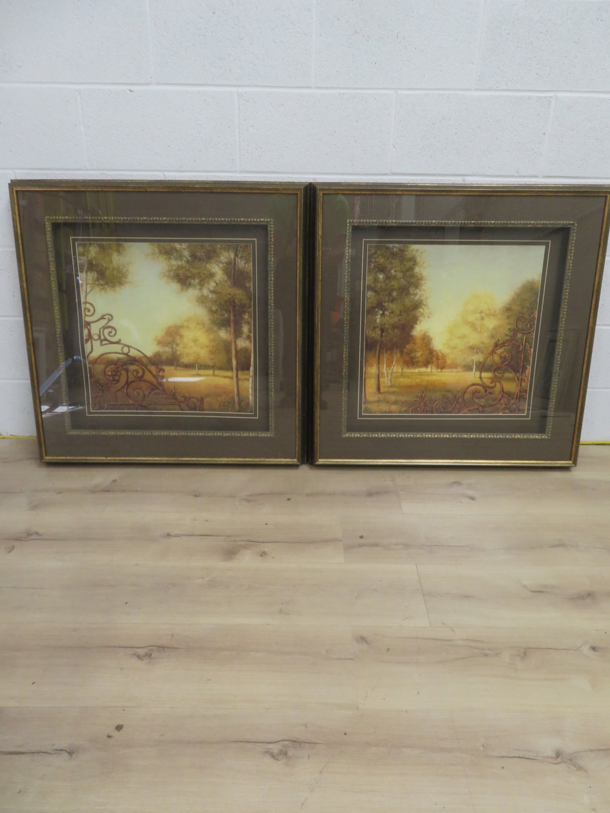 Pair of Framed Prints - "Alder Grove" and "Birch Grove"